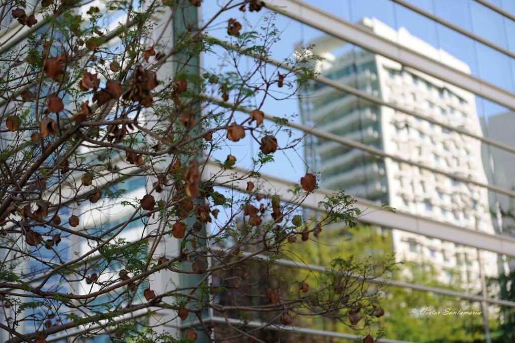 Jardin Privado Familias Y Trabajo Santiago de Chile