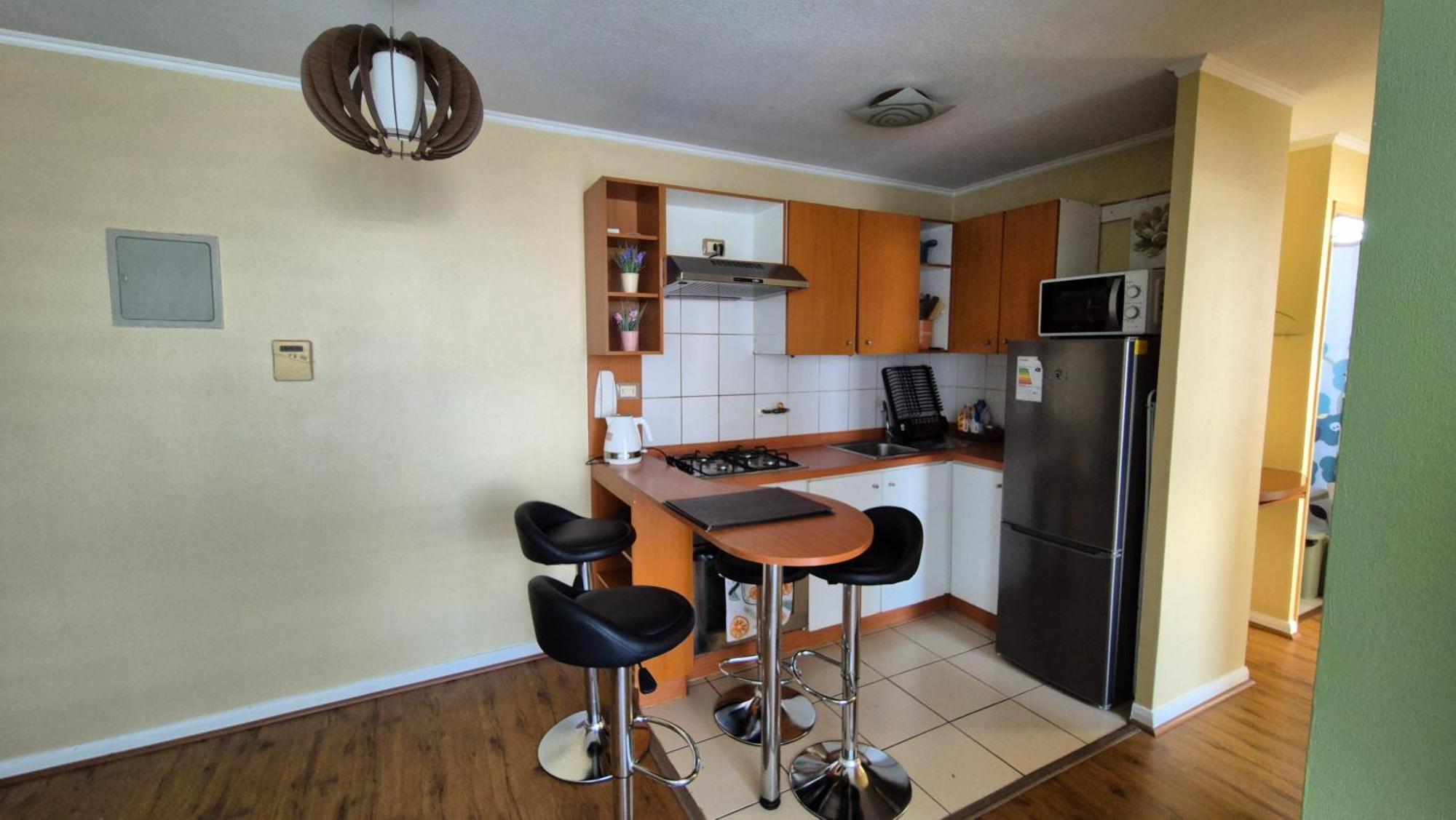 Santiago Centro Depto 2D1B, Estac. Y Wifi Gratis Apartamento Santiago de Chile