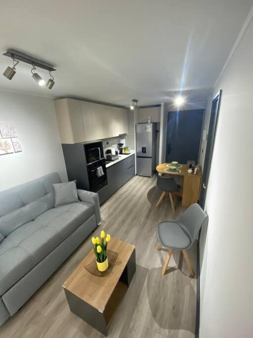 Apartment Nuevo, Encantador Y Equipado Dpto En Santiago