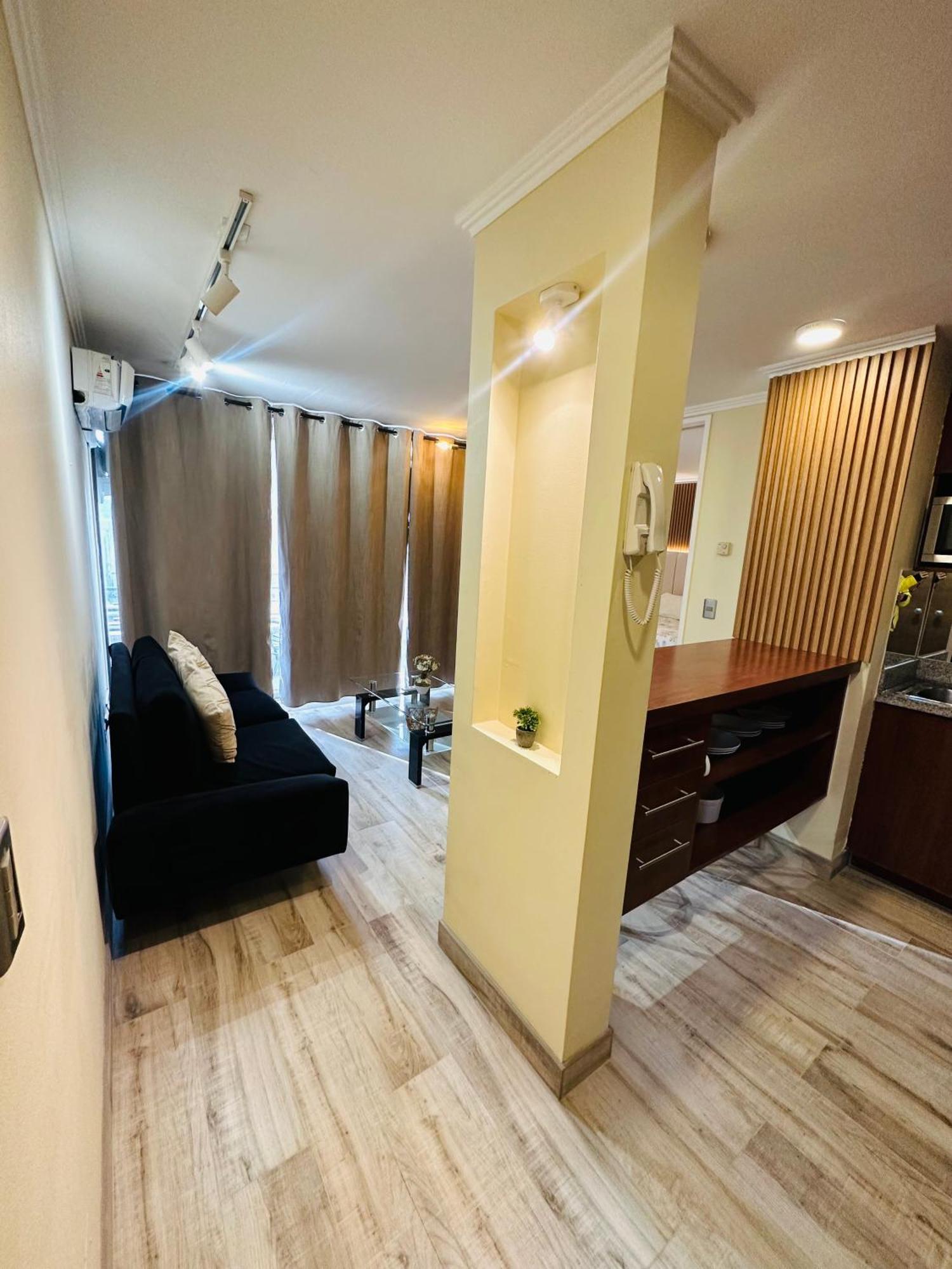 Apartment Turistico Y Ejecutivo En Providencia