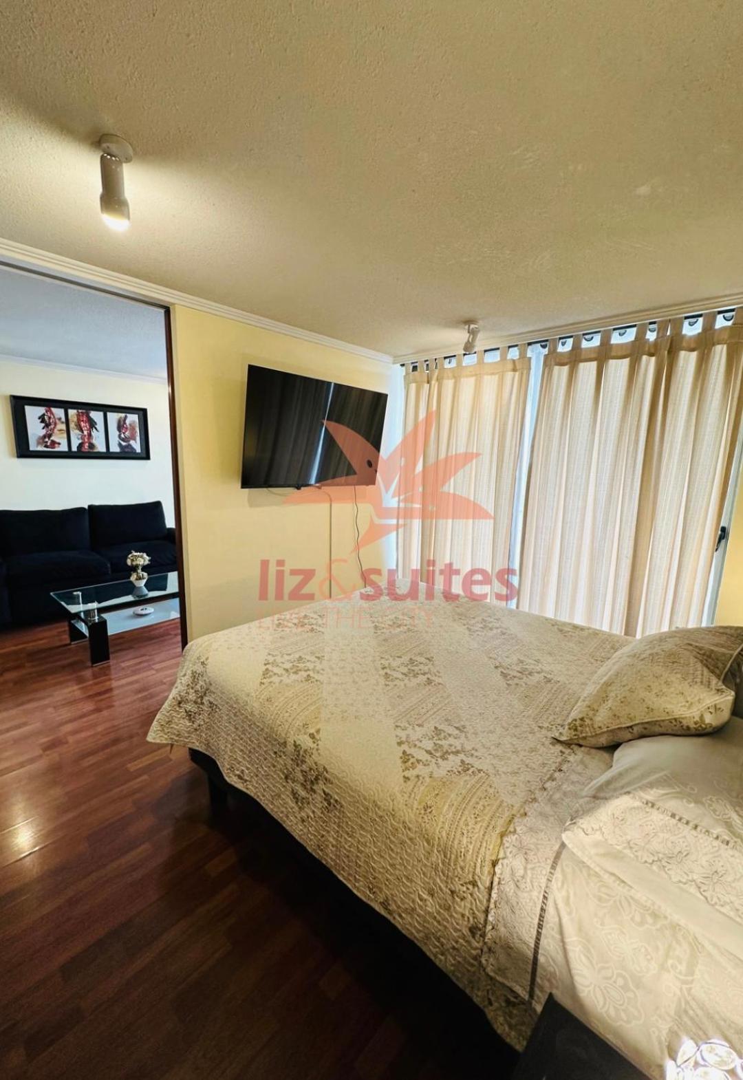 Moderno Y Acogedor Sector Privilegiado Providencia Apartment Santiago