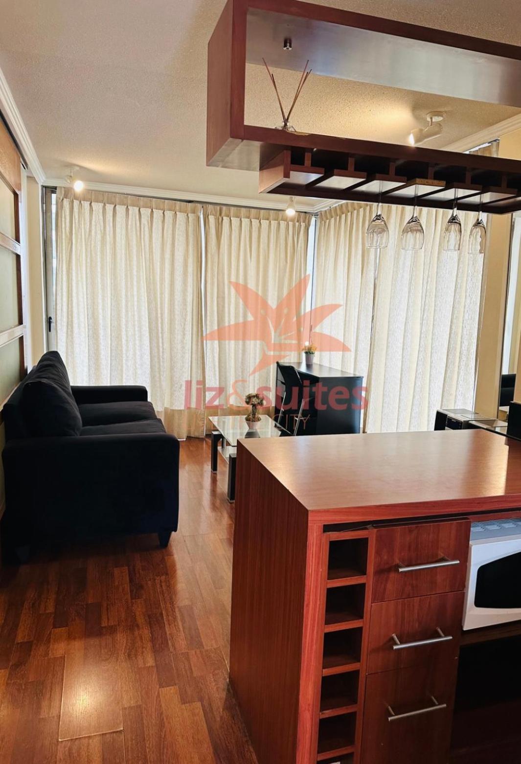 Apartamento Excelente Departamentos Manuel Montt *