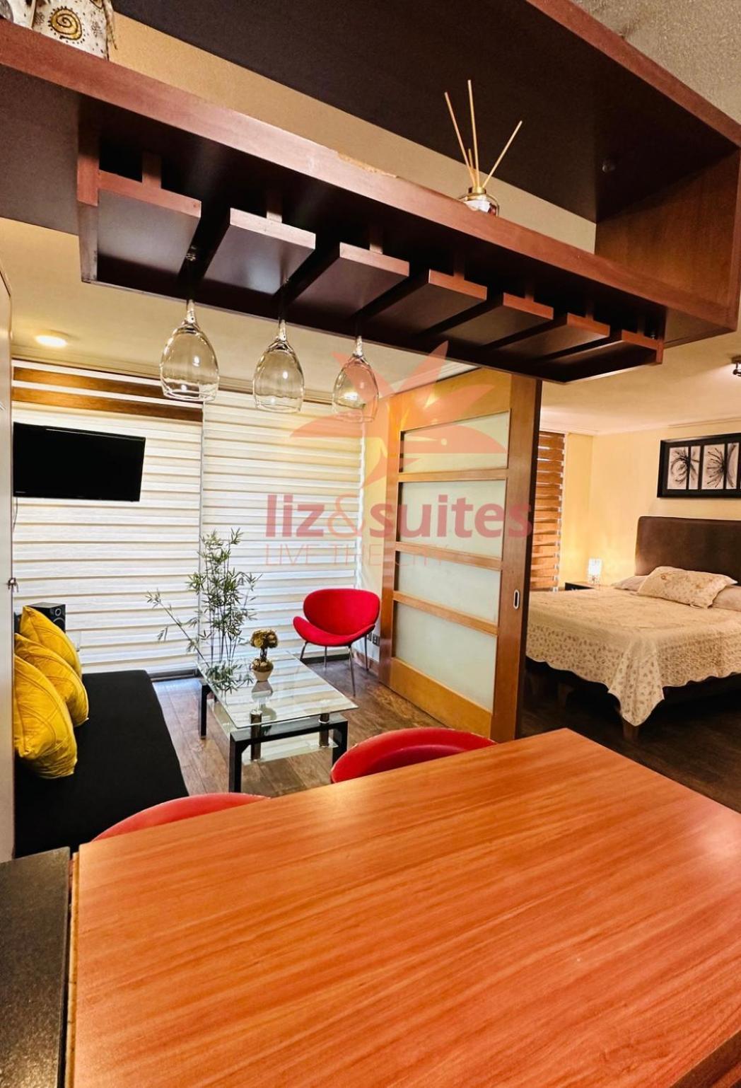 Apartment Inmejorable Ubicacion, Sector Turistico Y Ejecutivo Providencia