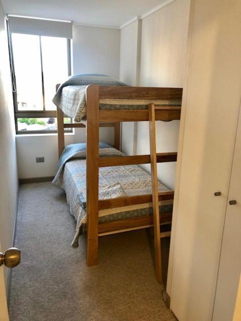 Loica Hosts Apartment
