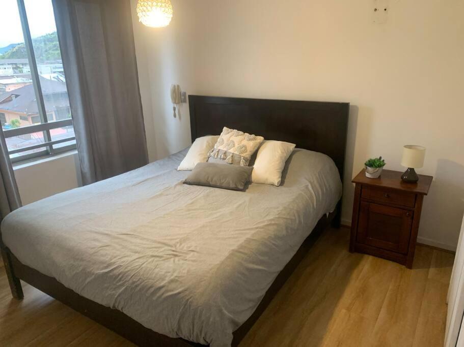Dpto 2-3 Personas Apartment Santiago