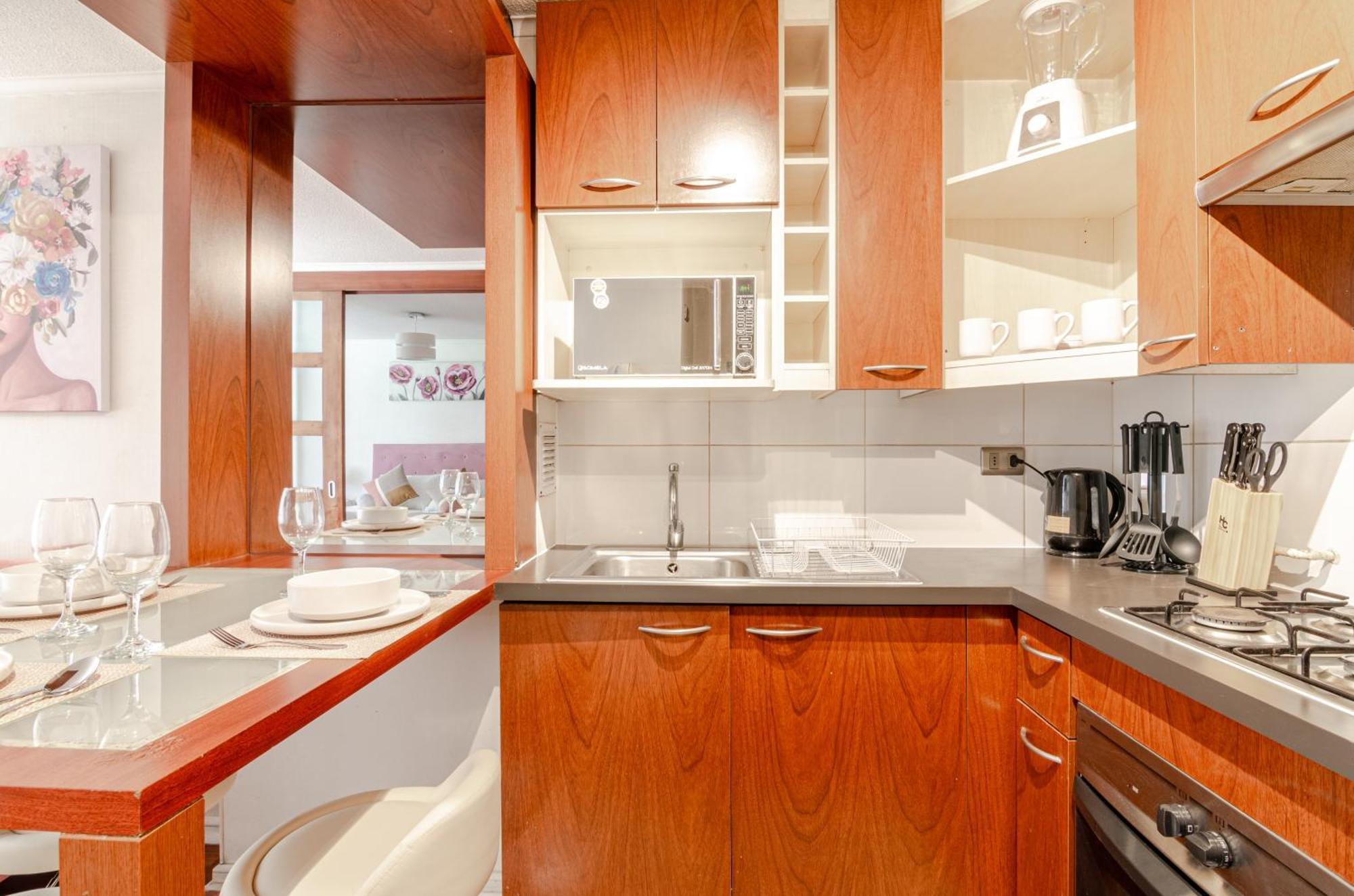 Apartment Dpto Bellas Artes Centro