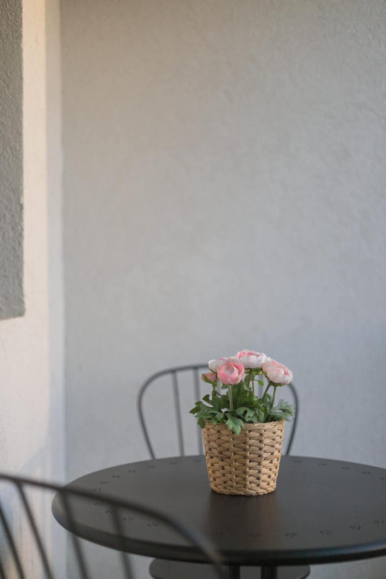 Apartment Escape Urbano 2d2b Perfecto Aventureros Santiago