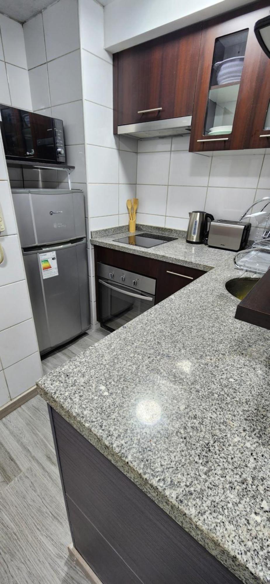 Apartamento Comodo Y Renovado Dpto Santiago de Chile