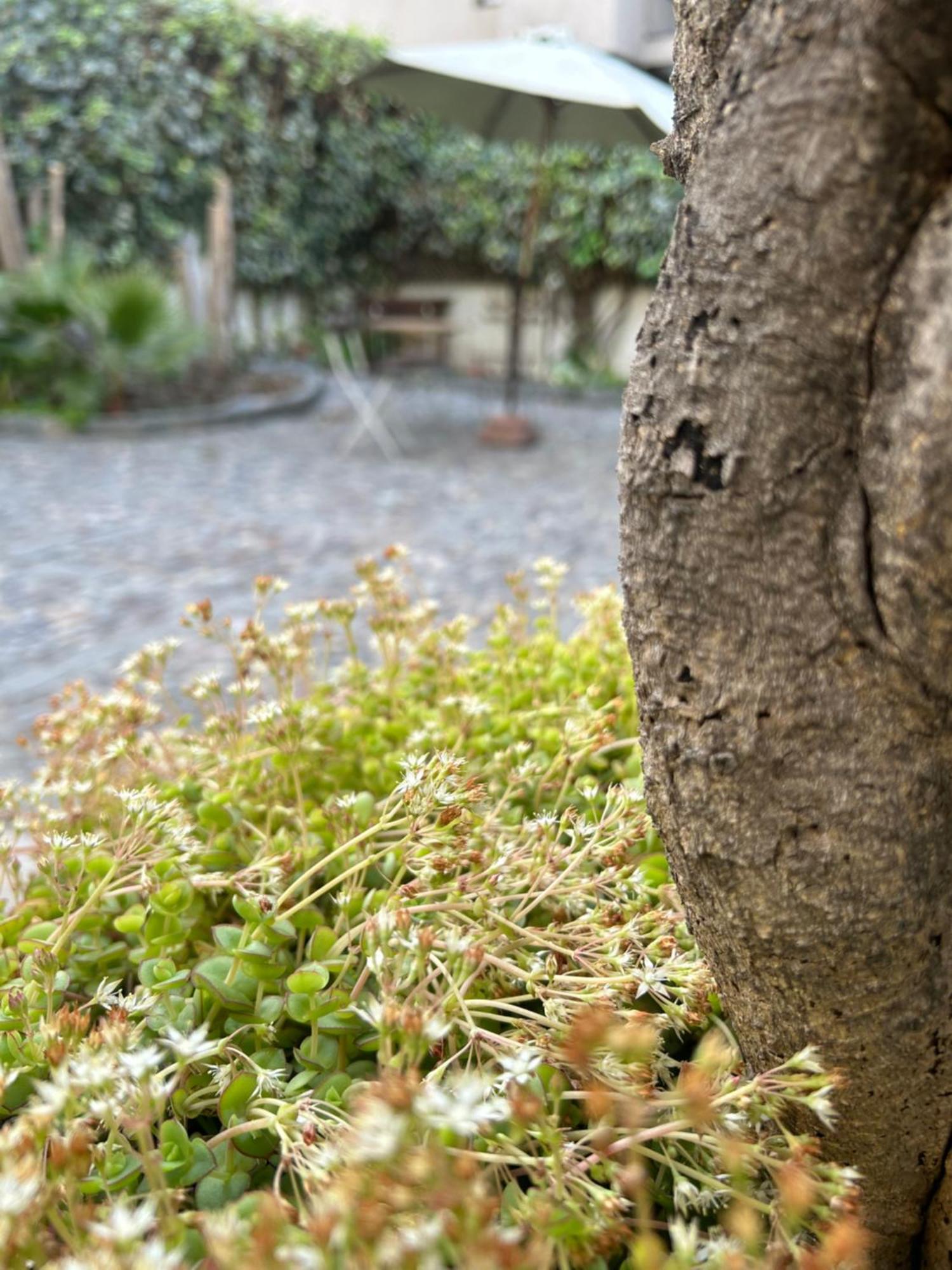 Casa Ribera Providencia Bed & Breakfast 2*
