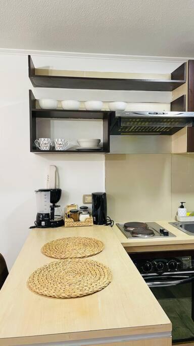 Apartment Departamento En Centro Santiago