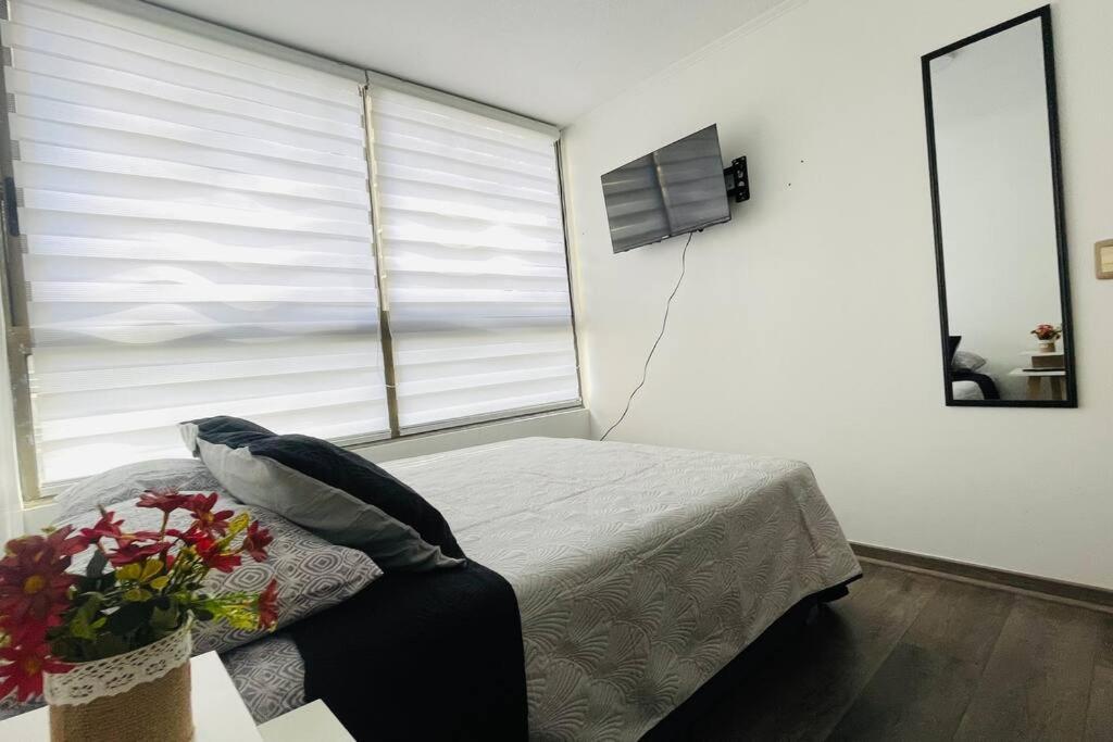 Apartment Departamento En Centro Santiago