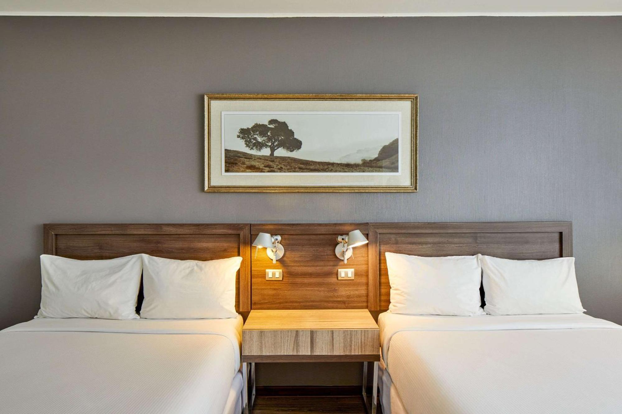 Hotel Radisson Blu Plaza El Bosque 4*
