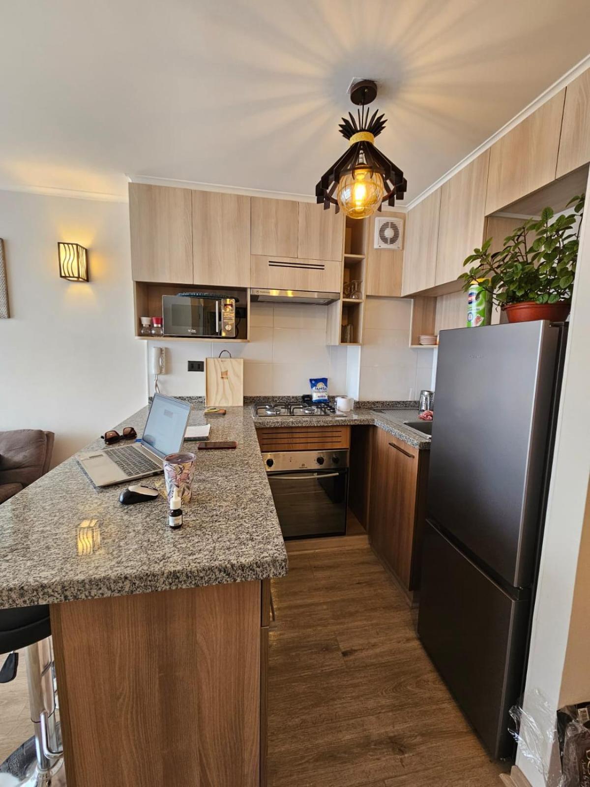 Depto Carvajal Apartment
