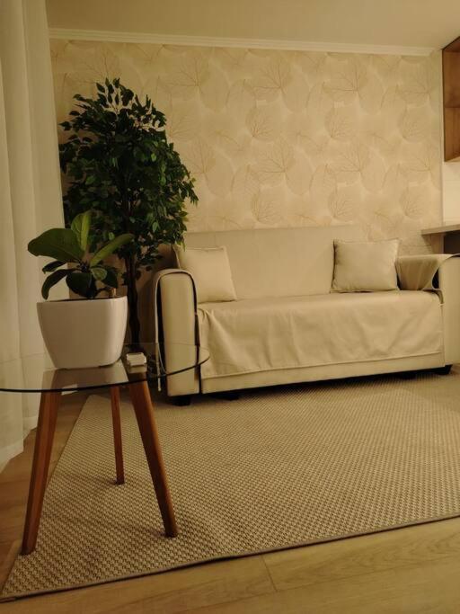 Apartment Espectacular Hacer Turismo! *