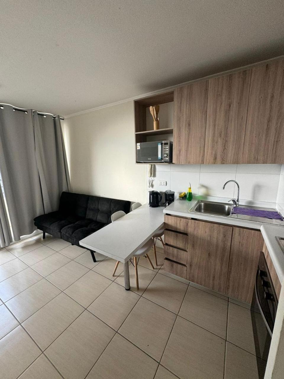 Apartment Depasfs Santiago