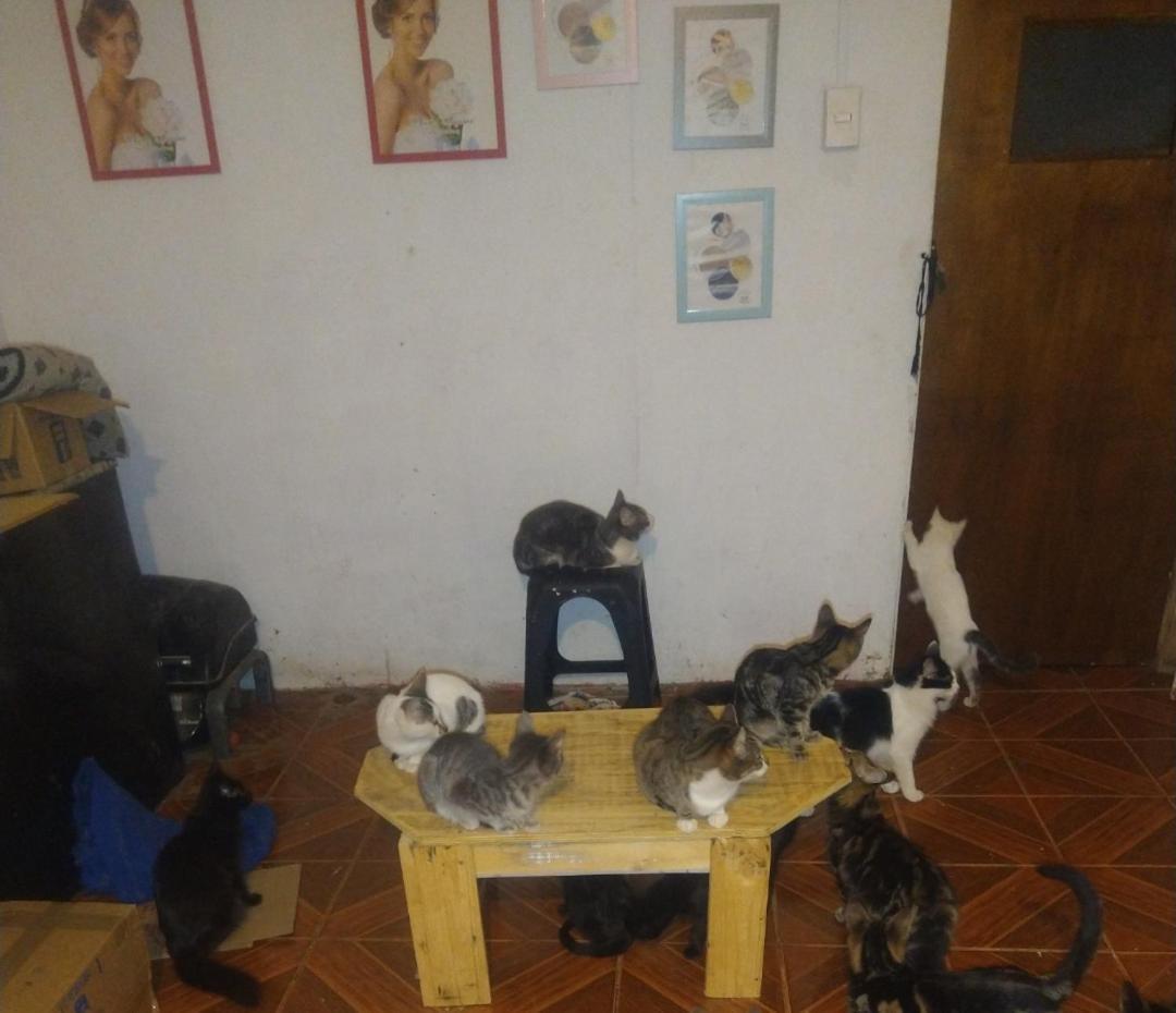 Bed & Breakfast Casa De