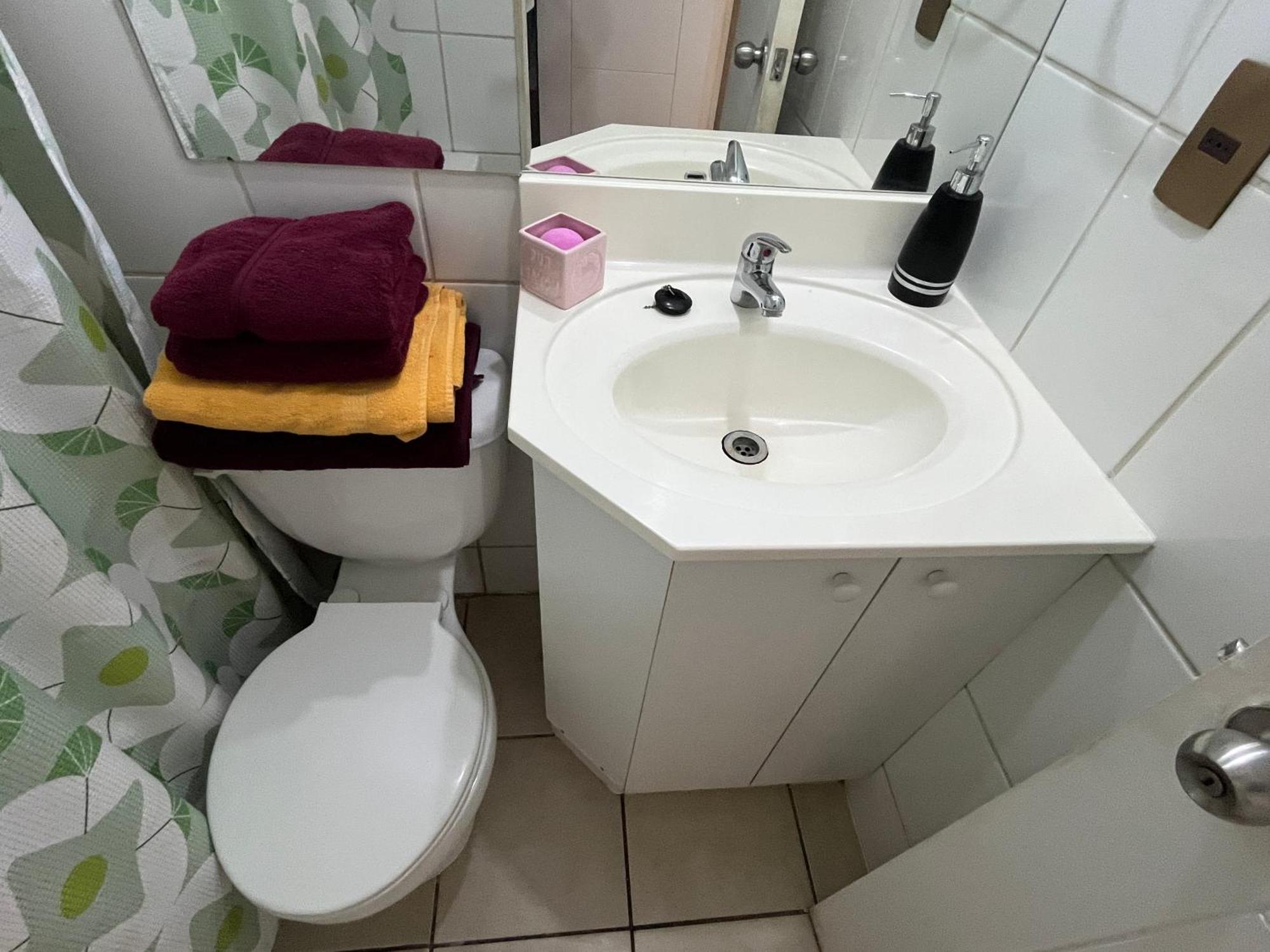 Comodidad Y Seguridad En Centro * Santiago