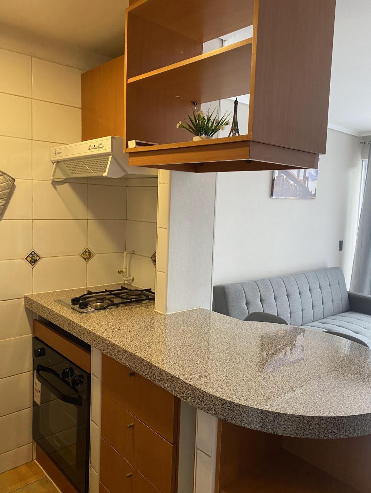 Apartamento En Santa Victoria De Chile *