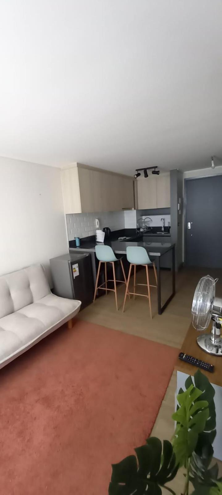 Apartment Departamento Santa Lucialindo Depto Con Check Flexible Santiago