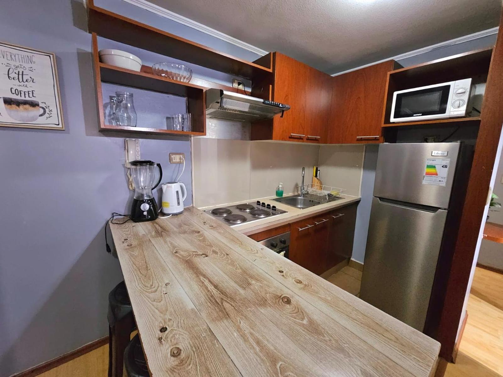 Avila Apart Apartment Santiago