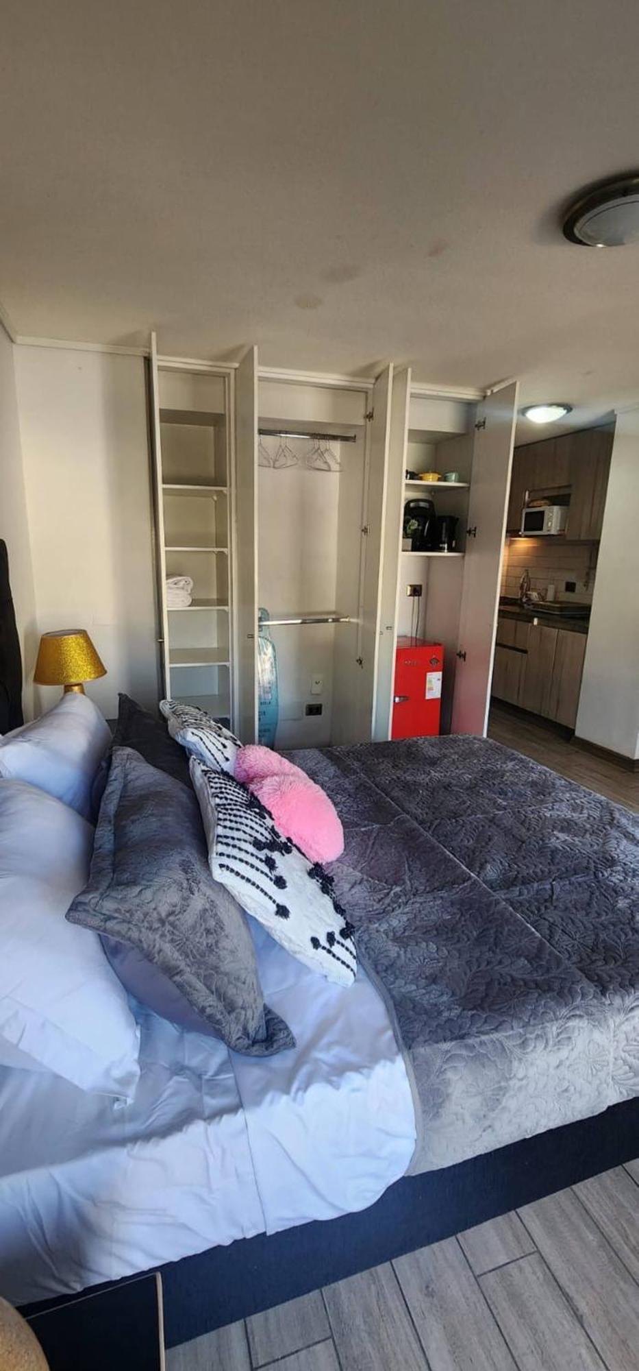 Loft Comodo Con Gym En Independencia * Santiago