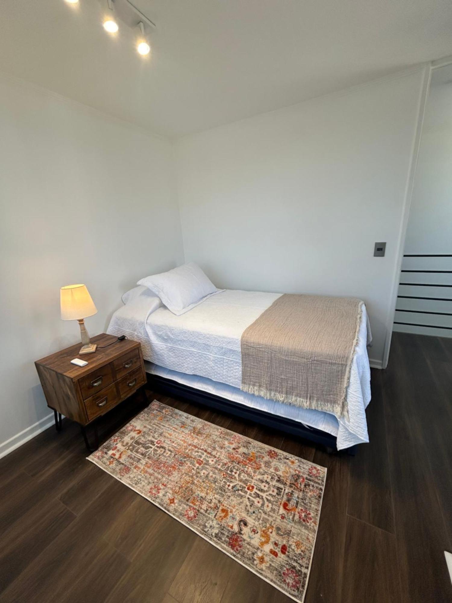 Centrico Departamento Duplex A Pasos Del Metro Căn hộ Santiago