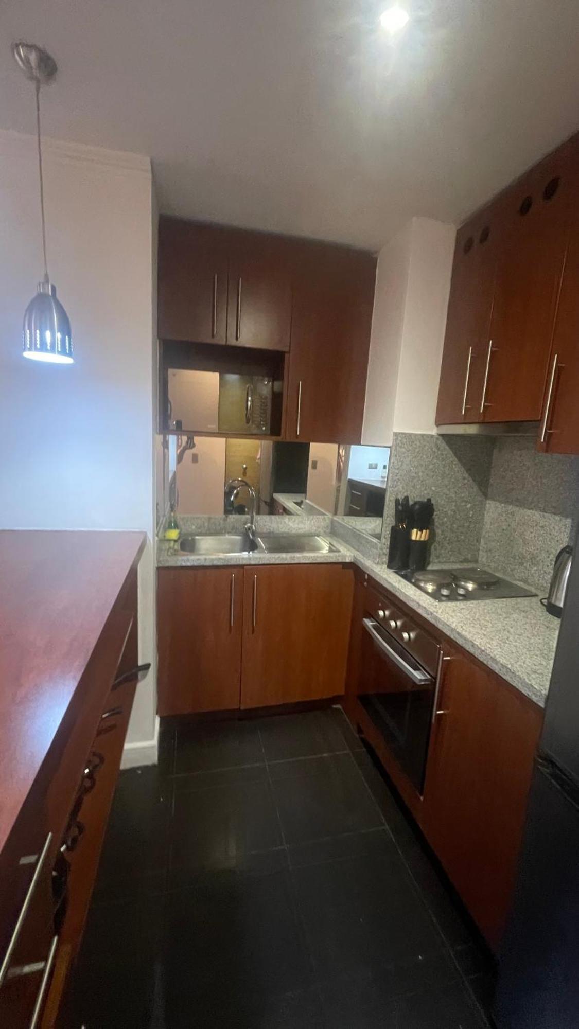Apartamento Departamentos Amoblados Providencia Santiago de Chile