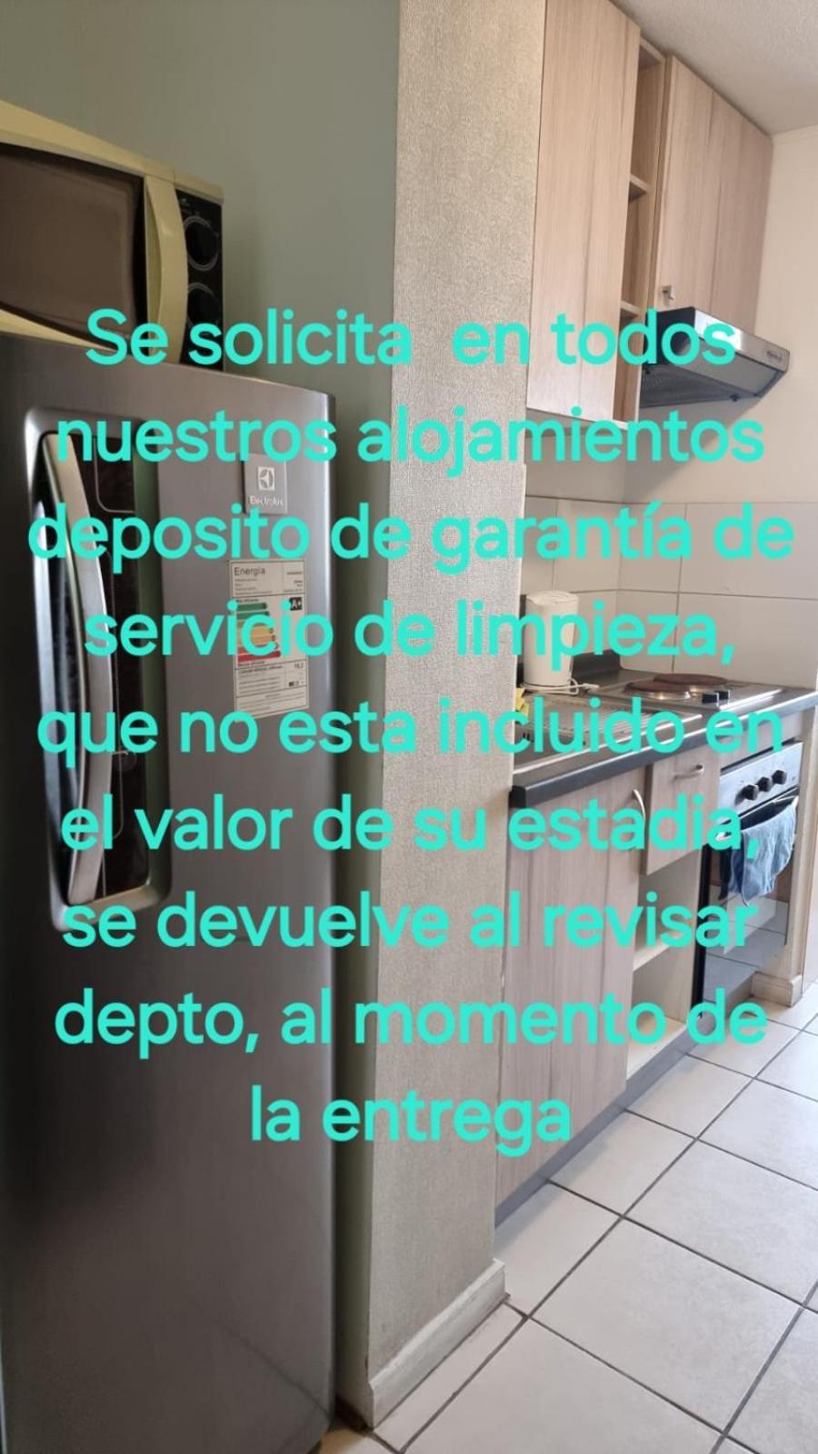 Ibis Conde Del Maule