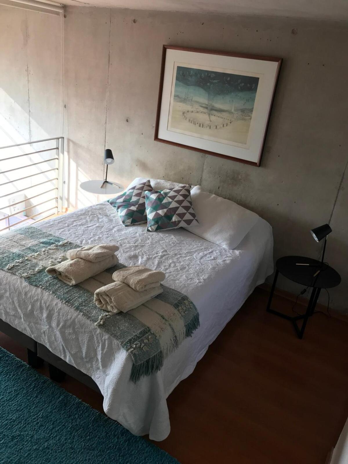 Loft Urbano Apartment Santiago
