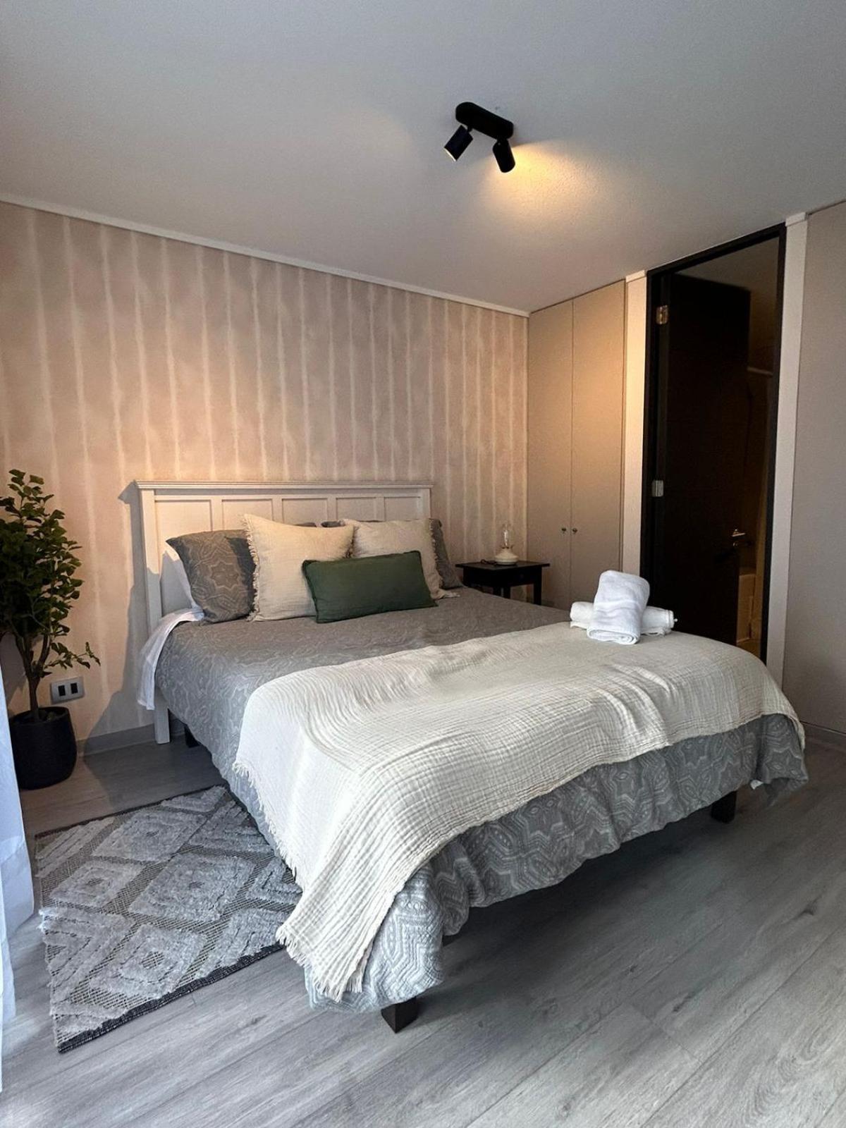 Your Comfortable Refuge In Apartment Santiago