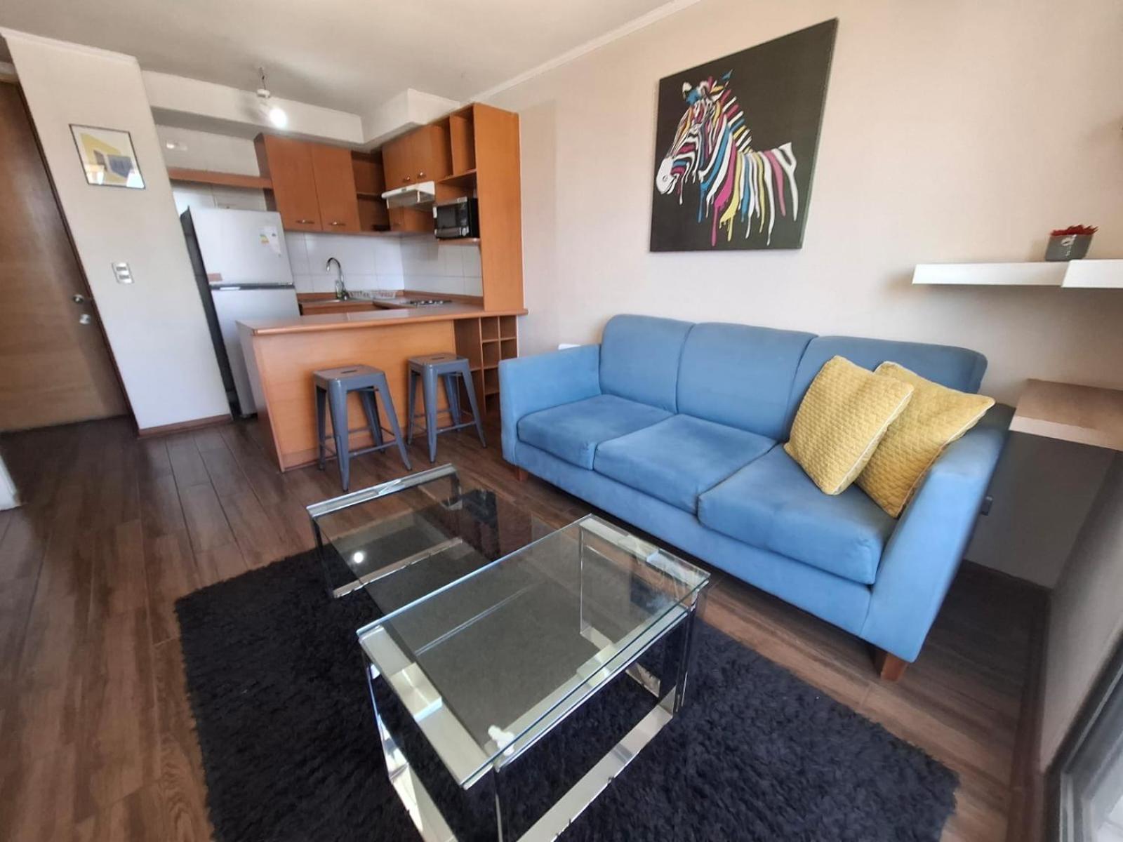 Apartamento Departamento Lastarria Santiago de Chile