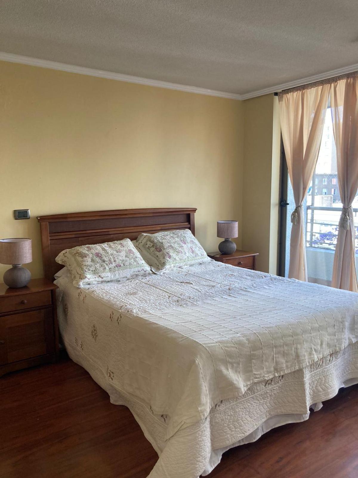 Apartment Ale Santiago-providencia