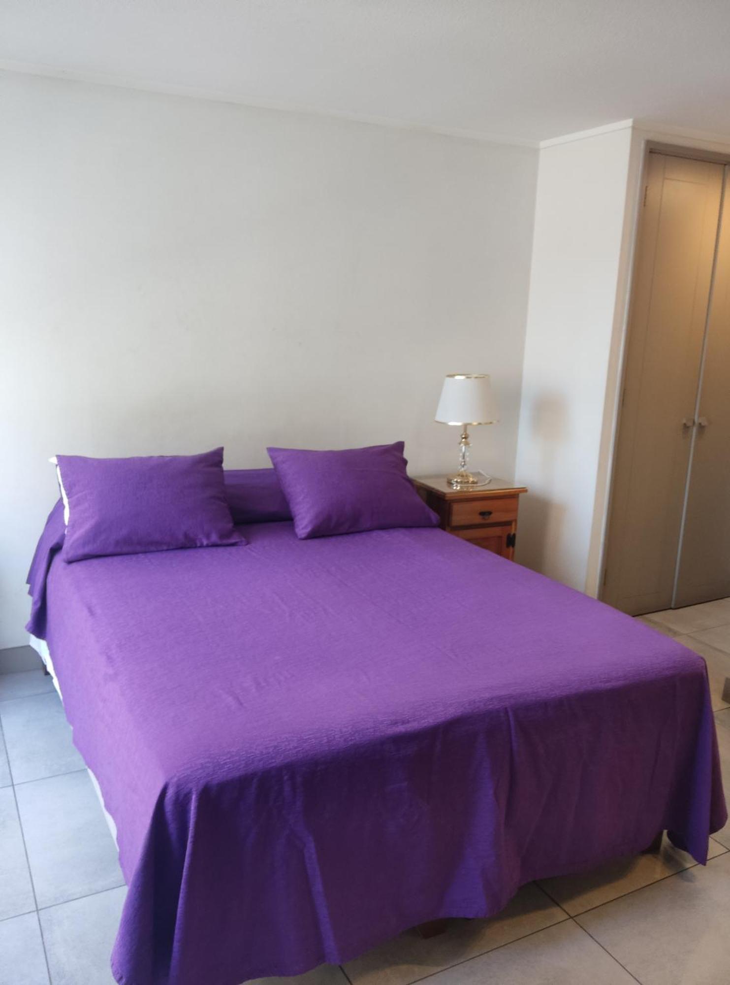 Apartment Departamentos Amoblados Centro 1 Y 2 General Mackenna