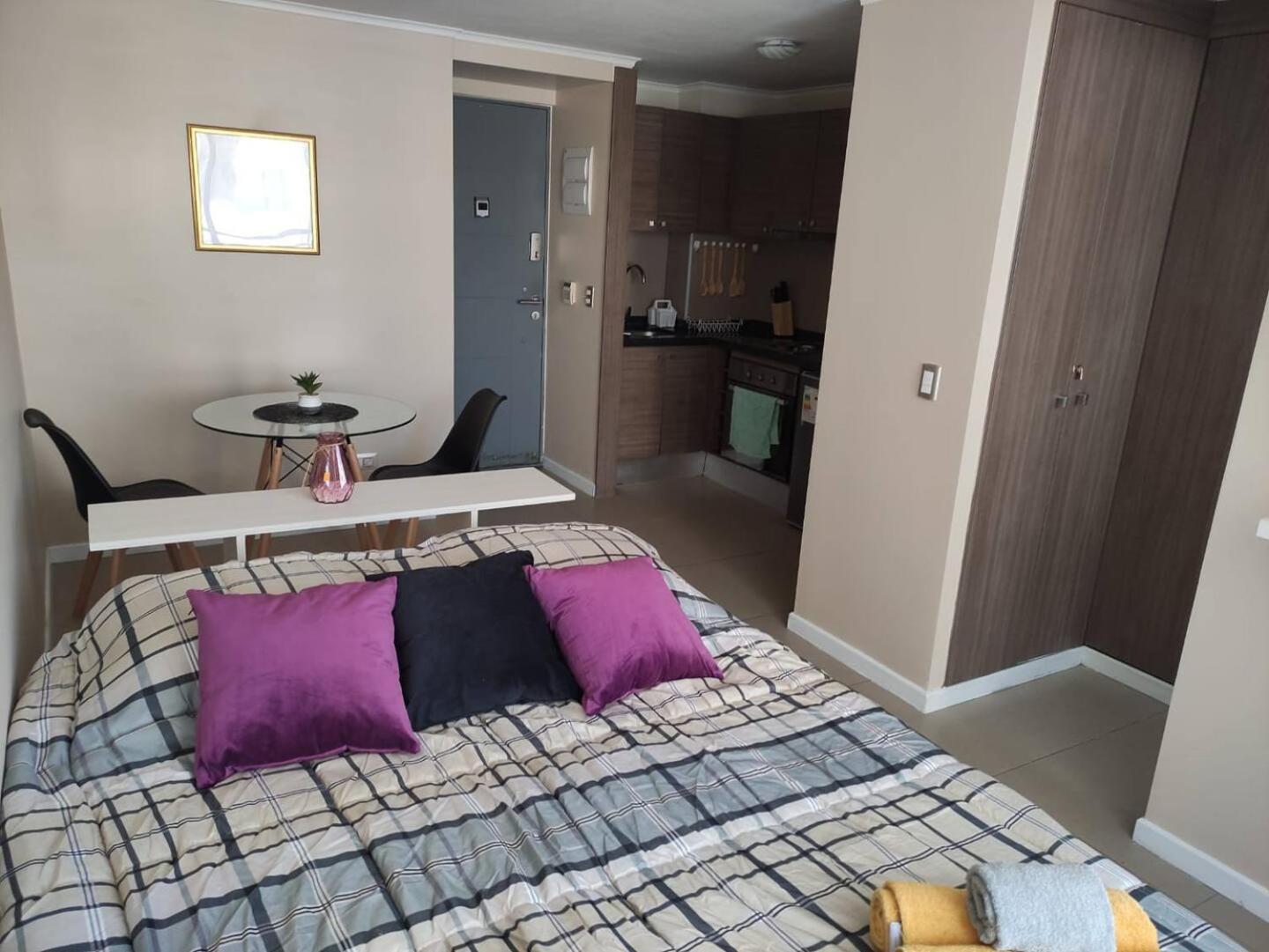 Departamento Acogedor En Centro Apartamento Santiago