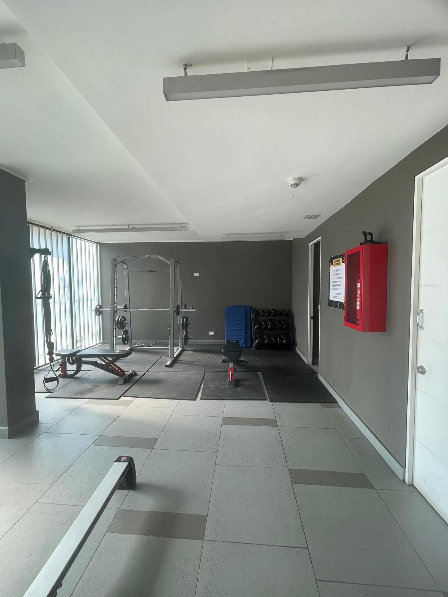 Apartamento Loft Sorprendente Con Gym En Comuna Independencia