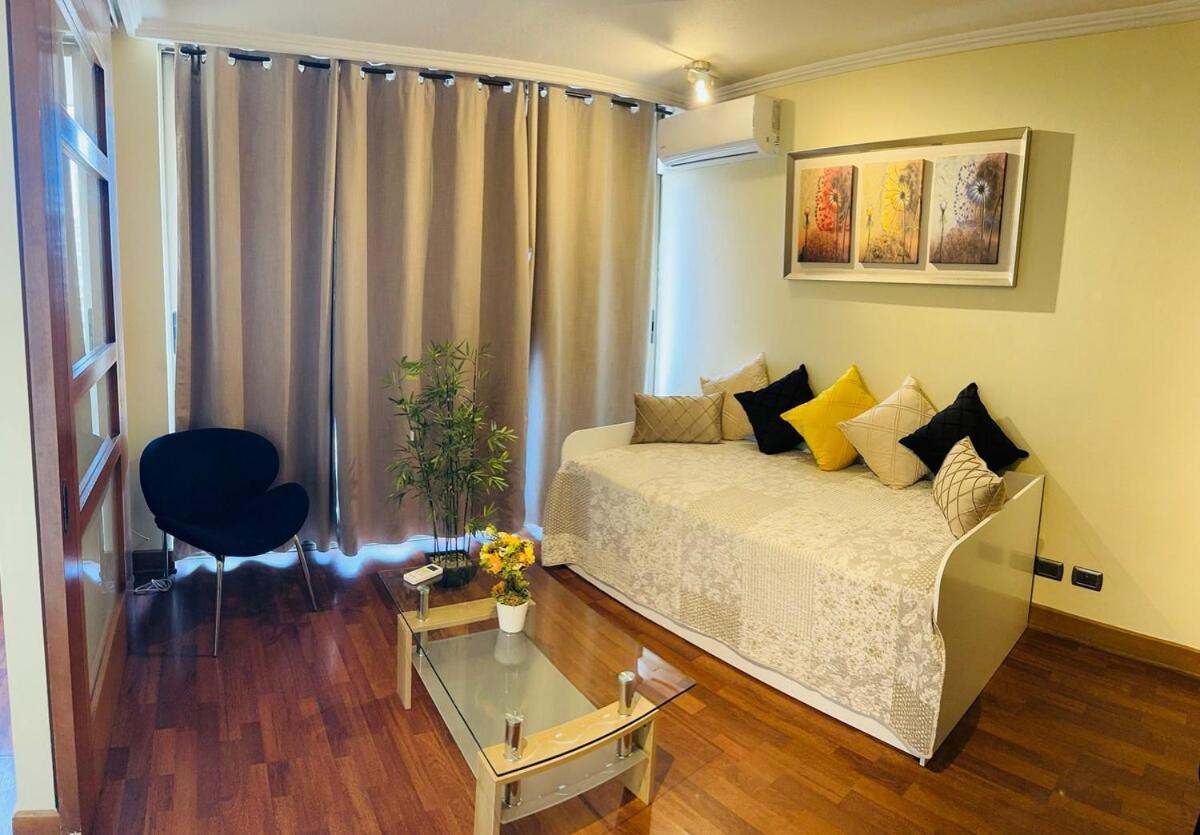 Comodo Y Acogedor, Providencia 14 Apartment Santiago
