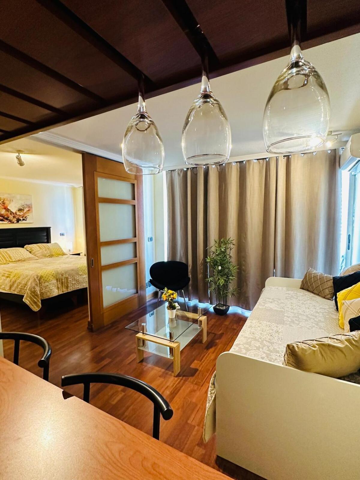 Apartment Comodo Y Acogedor, Providencia 14 Santiago