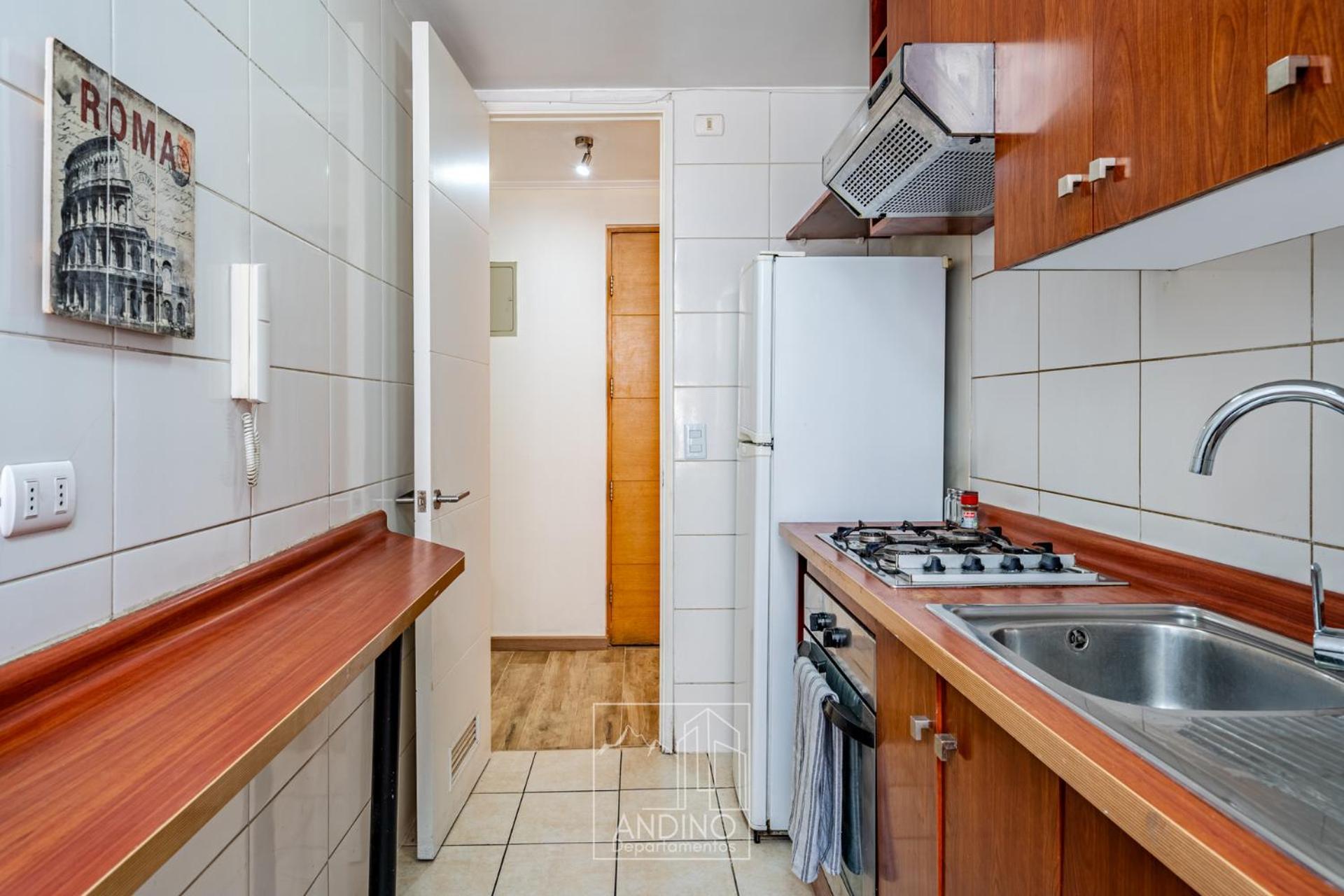 Apartment Andino Departamentos A Pasos Del Palacio De La Moneda