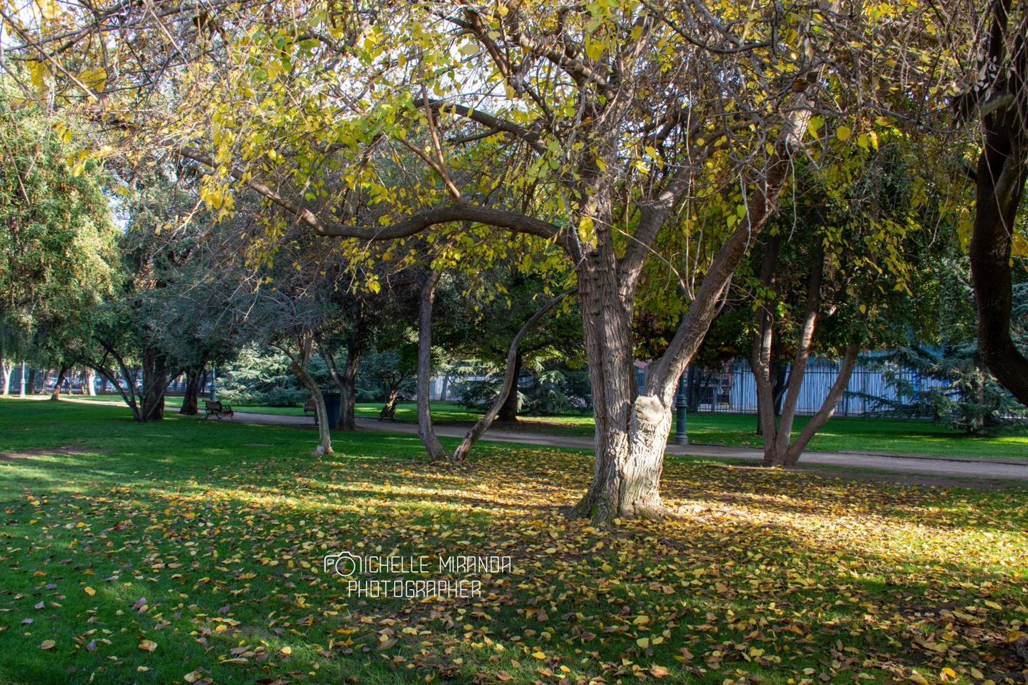 Apartment In Out Condes Santiago