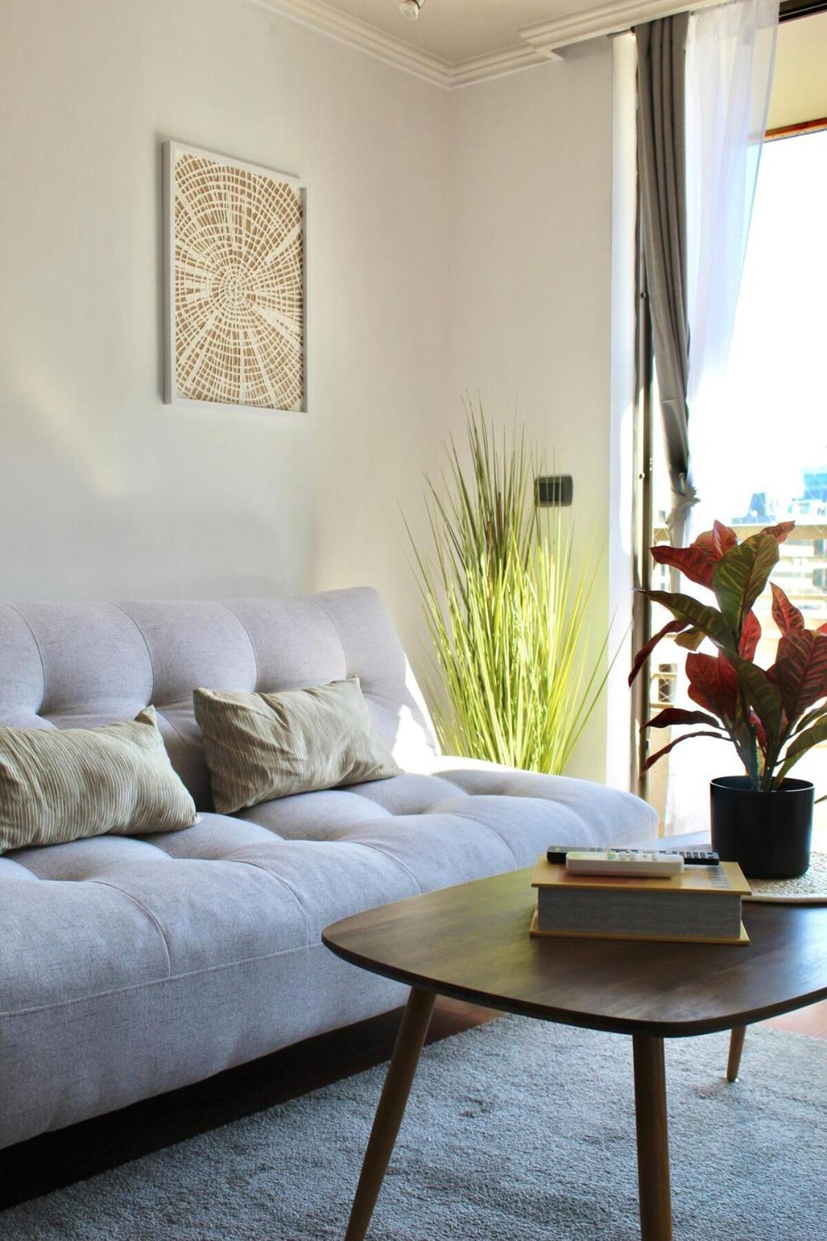 Moderno Departamento Providencia *