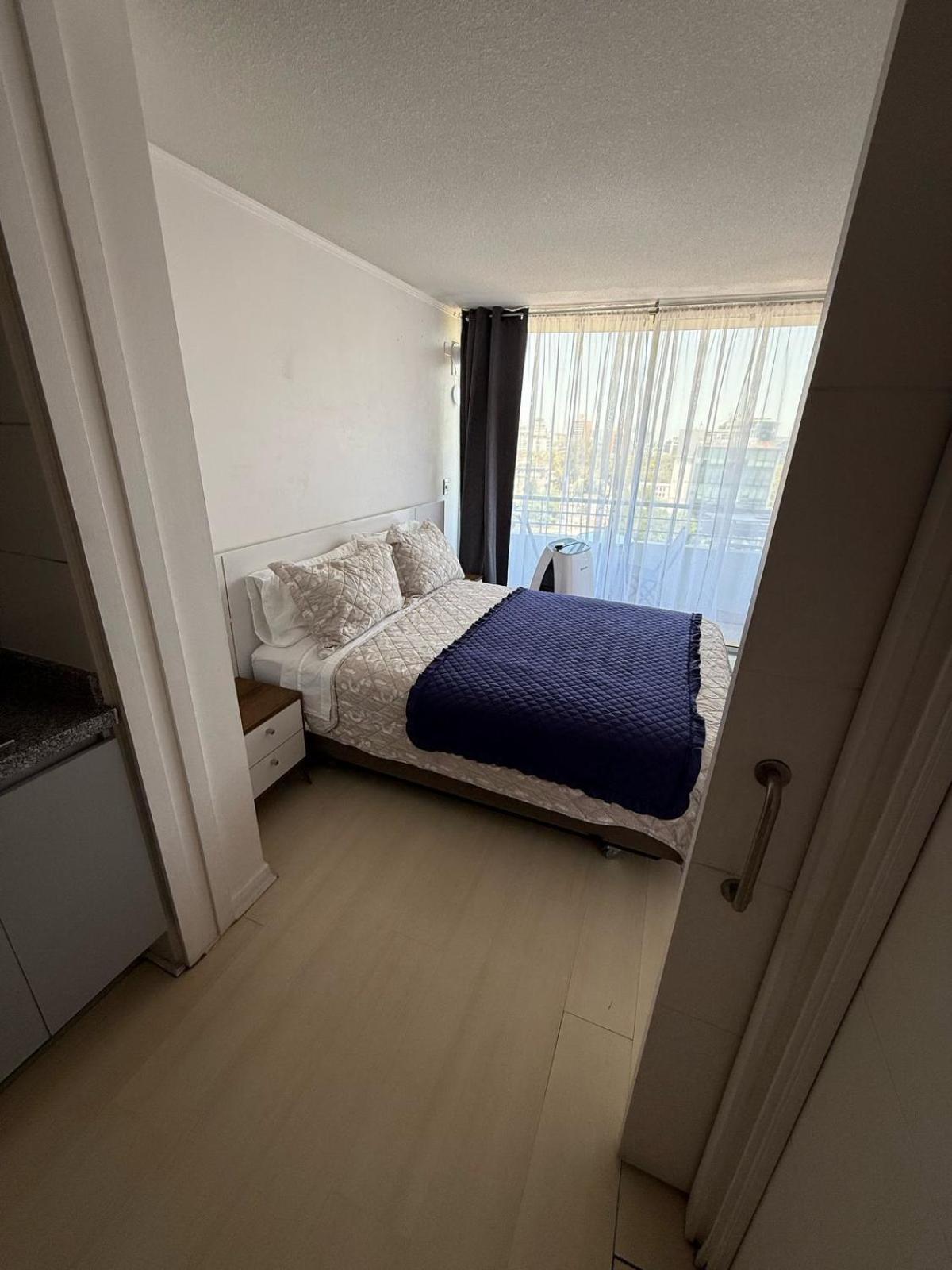 Rentapartnuevadelyon12 Căn hộ Santiago