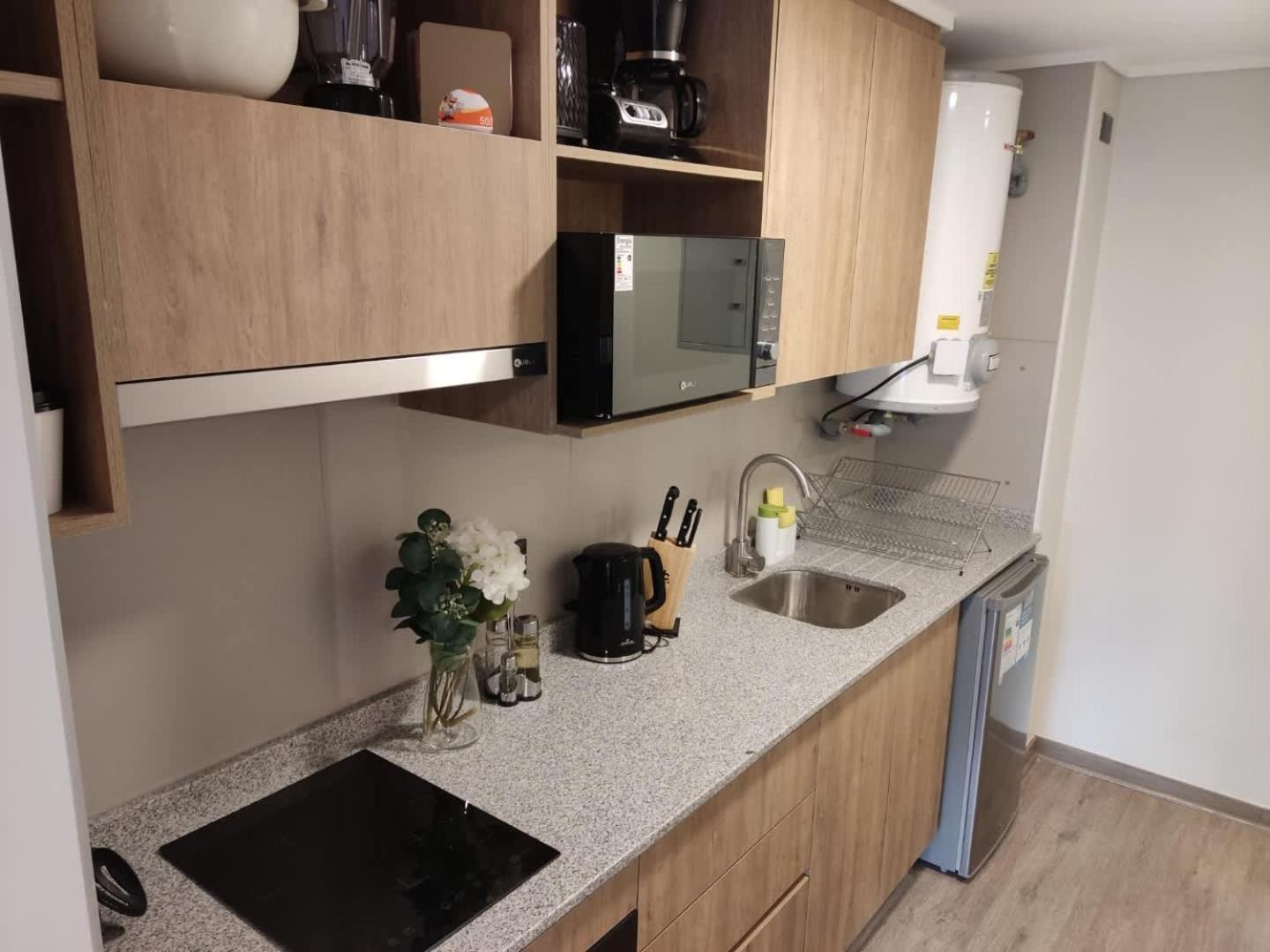 Comfort & Convenience Downtown Apartment Santiago