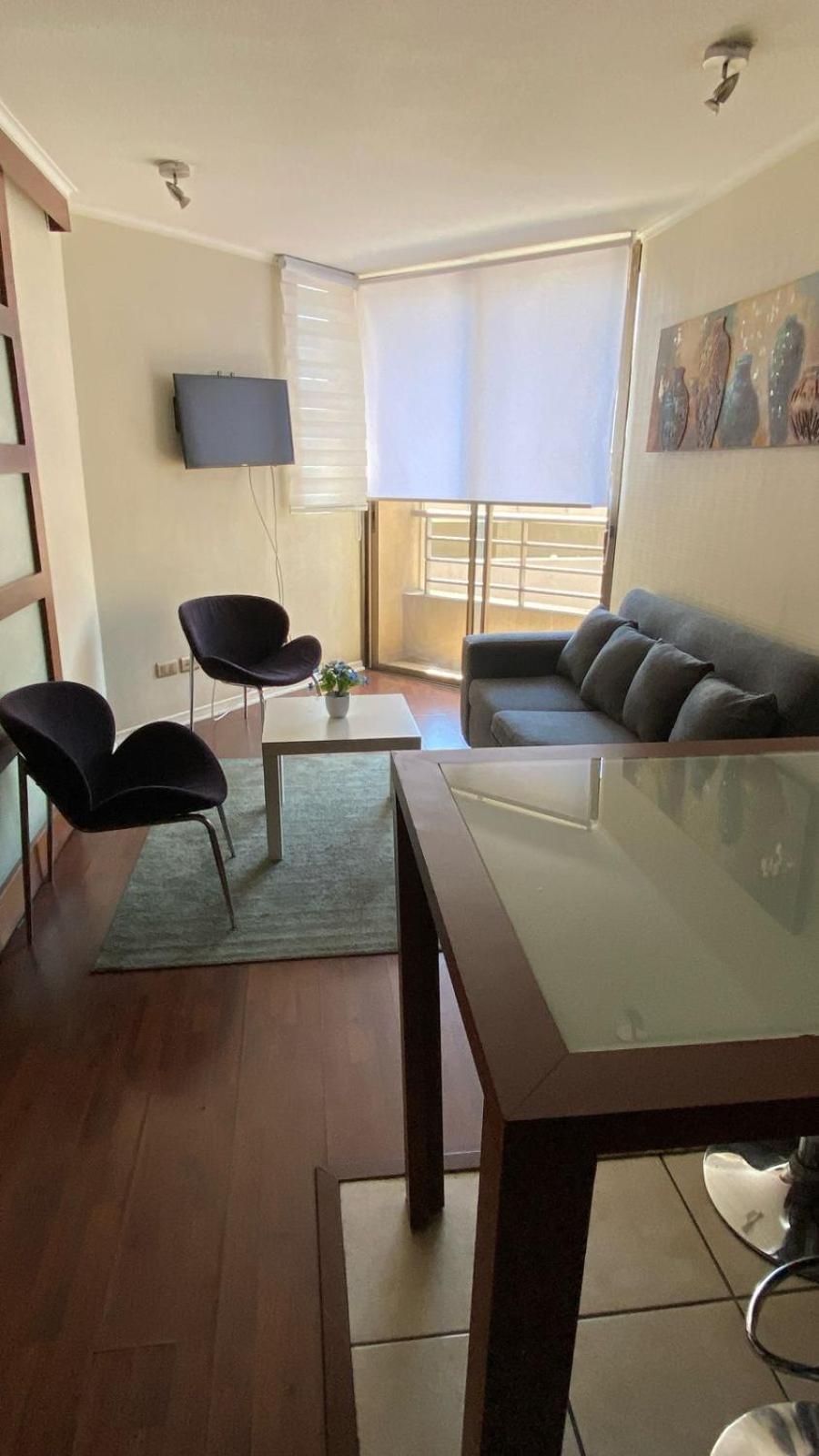 Apartamento Departamento Amoblado 19 Santiago de Chile