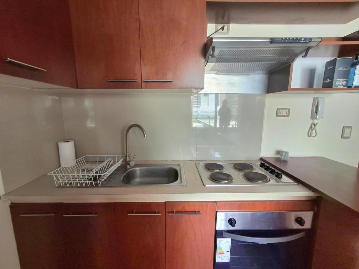 Apartamento Departamento A Pasos Del Palacio La Moneda Santiago