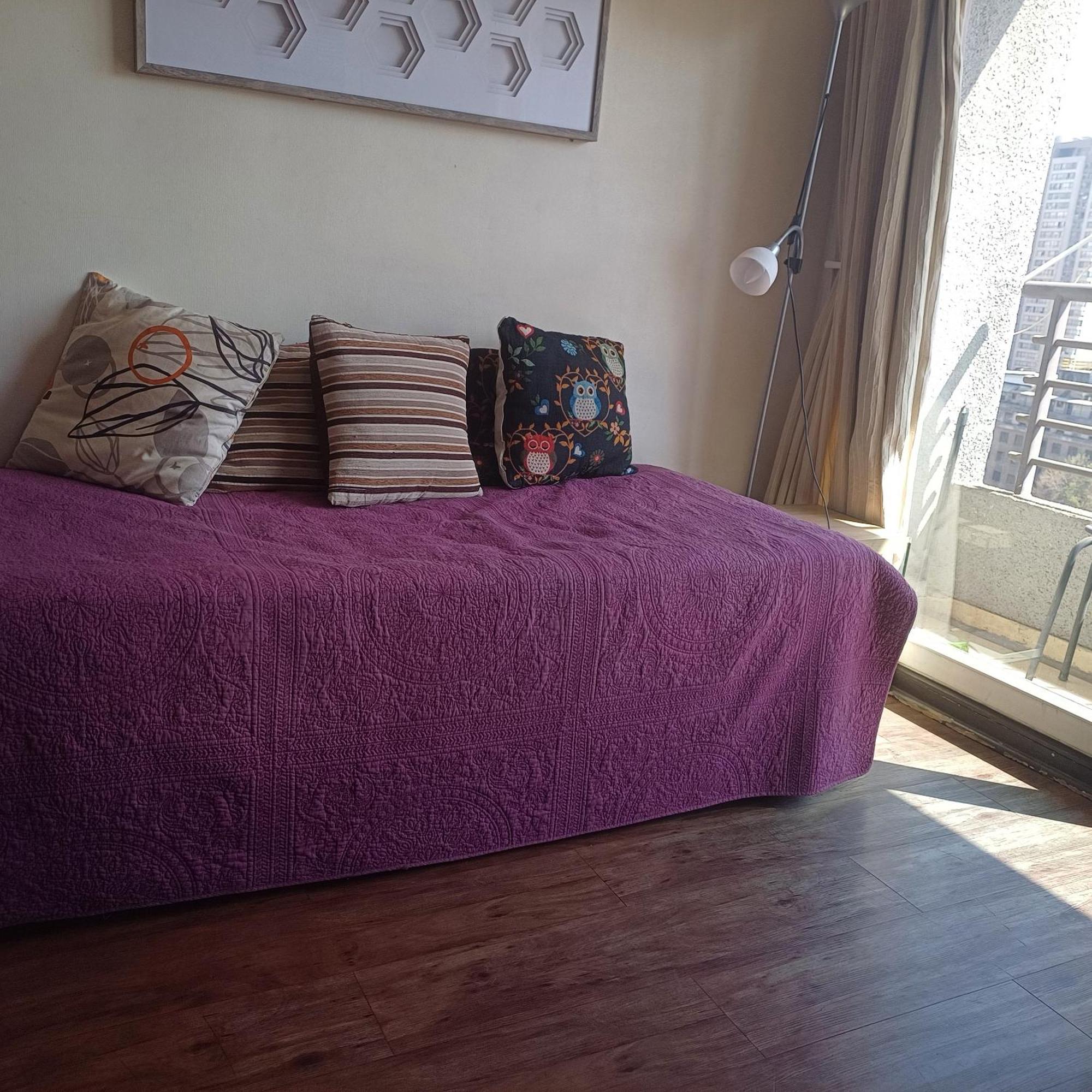 Apartamento Departamentos Amoblados Paz Santiago de Chile