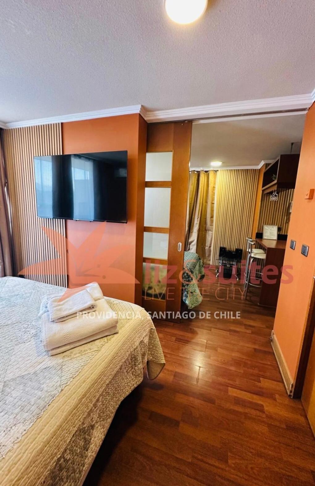 Turistico Exclusivo Y Familiar Providencia 19 Apartamento