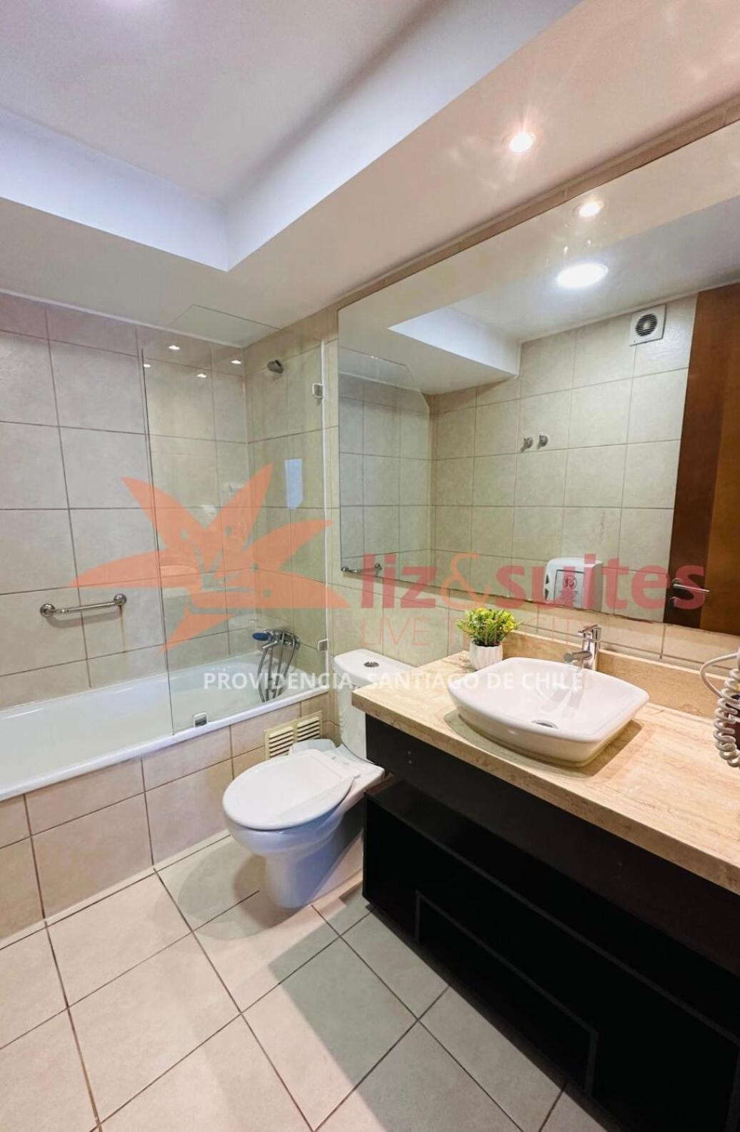 Apartamento Turistico Exclusivo Y Familiar Providencia 19 Santiago