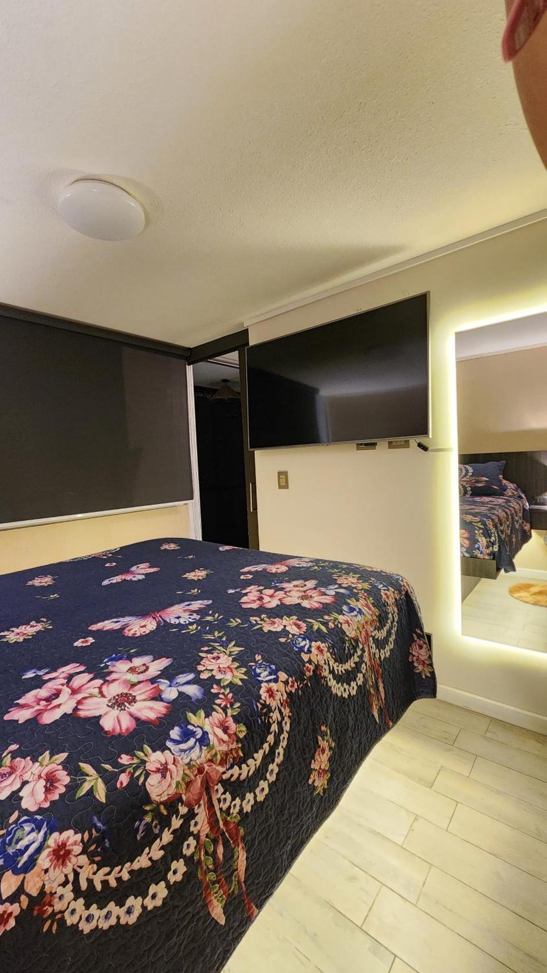 Arena Apartment