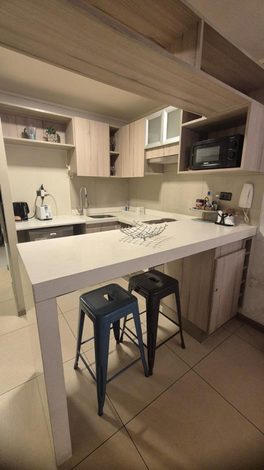 Lindo Departamento Tipo Loft En Nunoa *