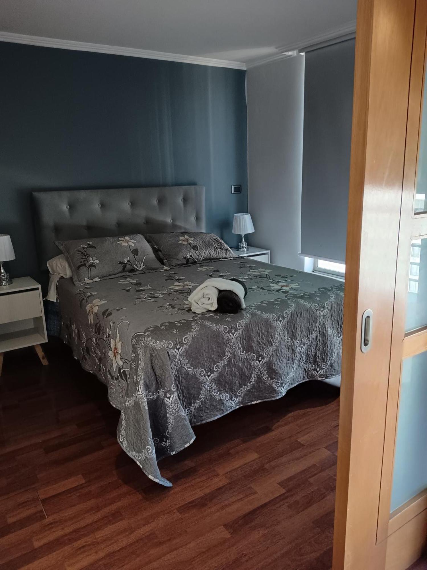 Apartment Gasset Aparments Lyon Santiago